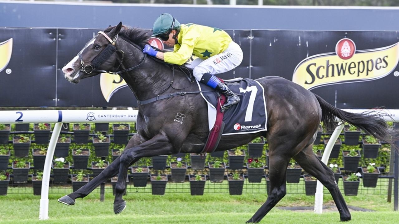 Canterbury preview: Peter Snowden's faith has been rewarded as a more mature Cassiel shines ahead of midweek target