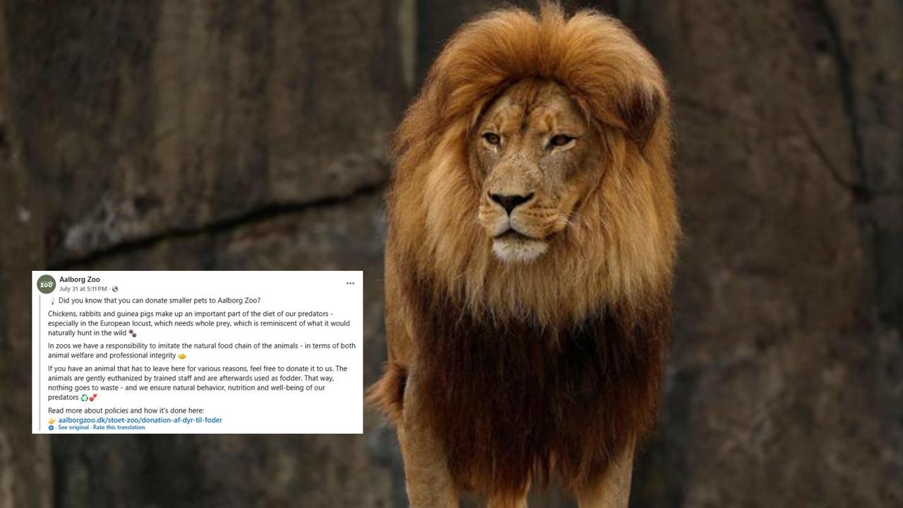 ‘Nothing goes to waste': Aalborg Zoo in Denmark asks owners to donate pets as food for its predators