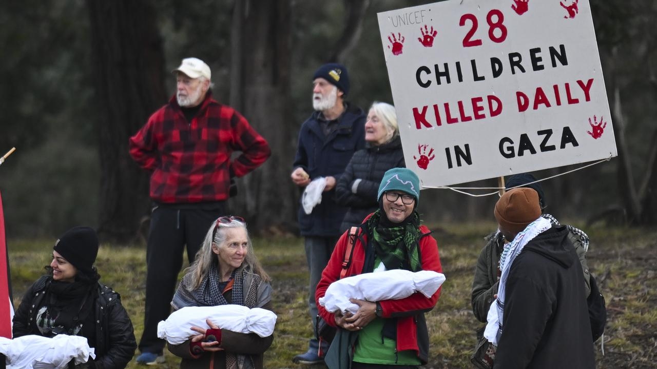 Pro-Palestine protesters gather at Parliament House as pollies return
