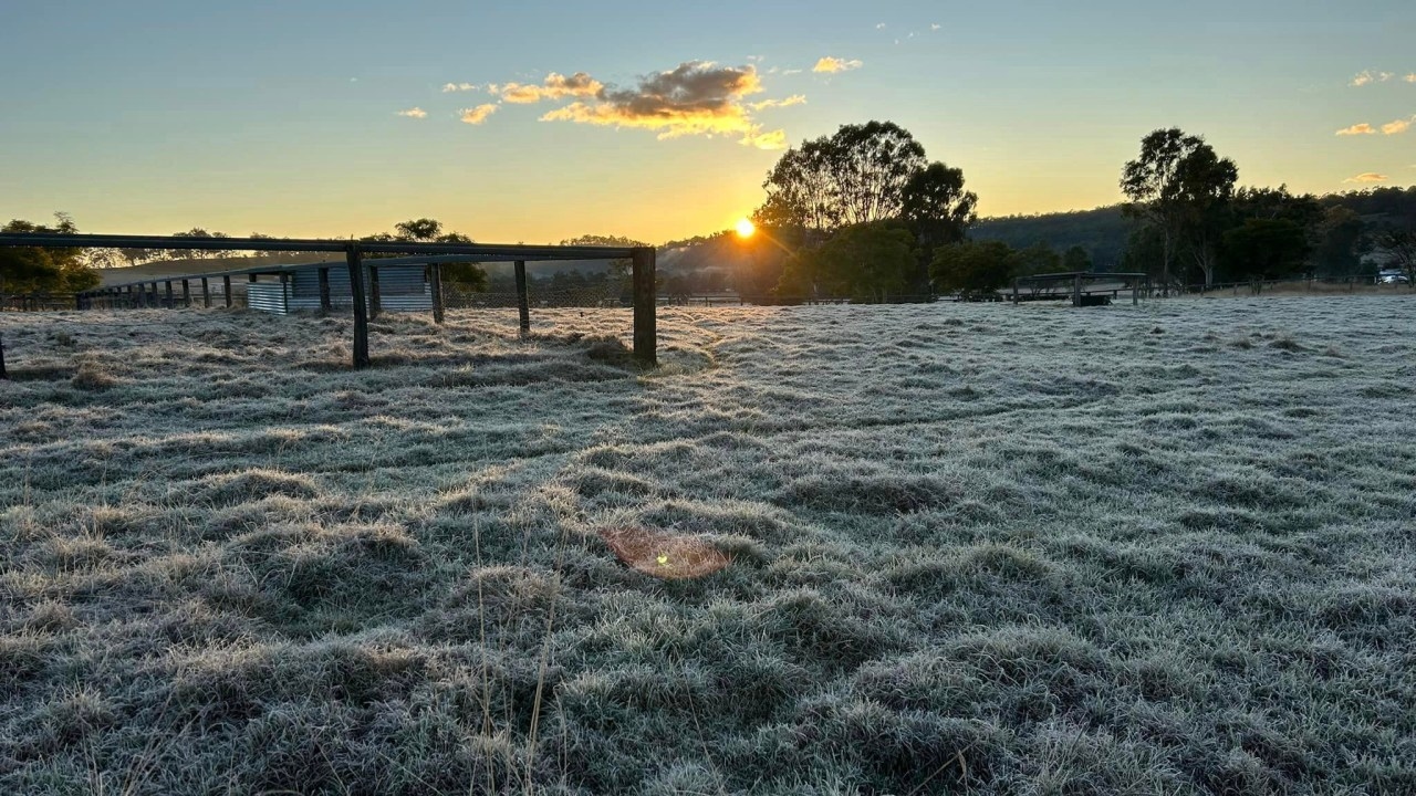 Frost set to cover southern Queensland and beyond as chilly mornings expected for many over next seven days
