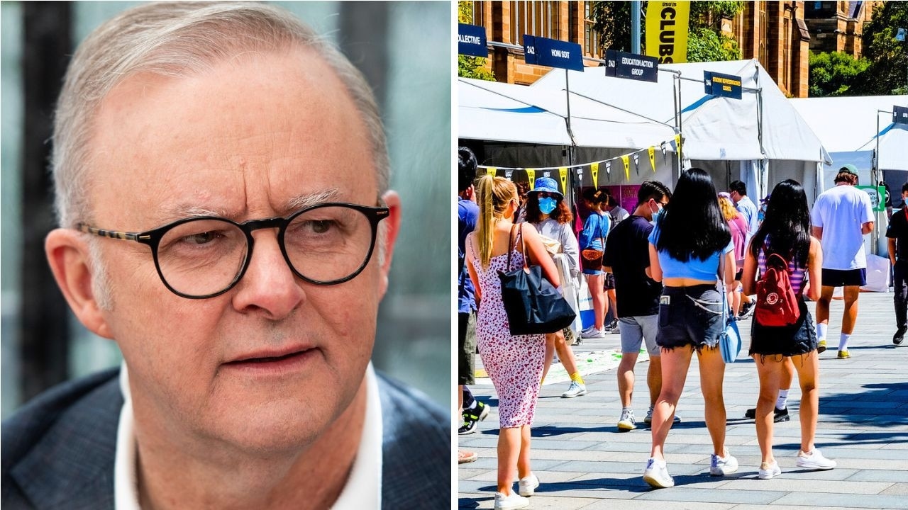 Debt for millions to soon be wiped under Anthony Albanese's promise