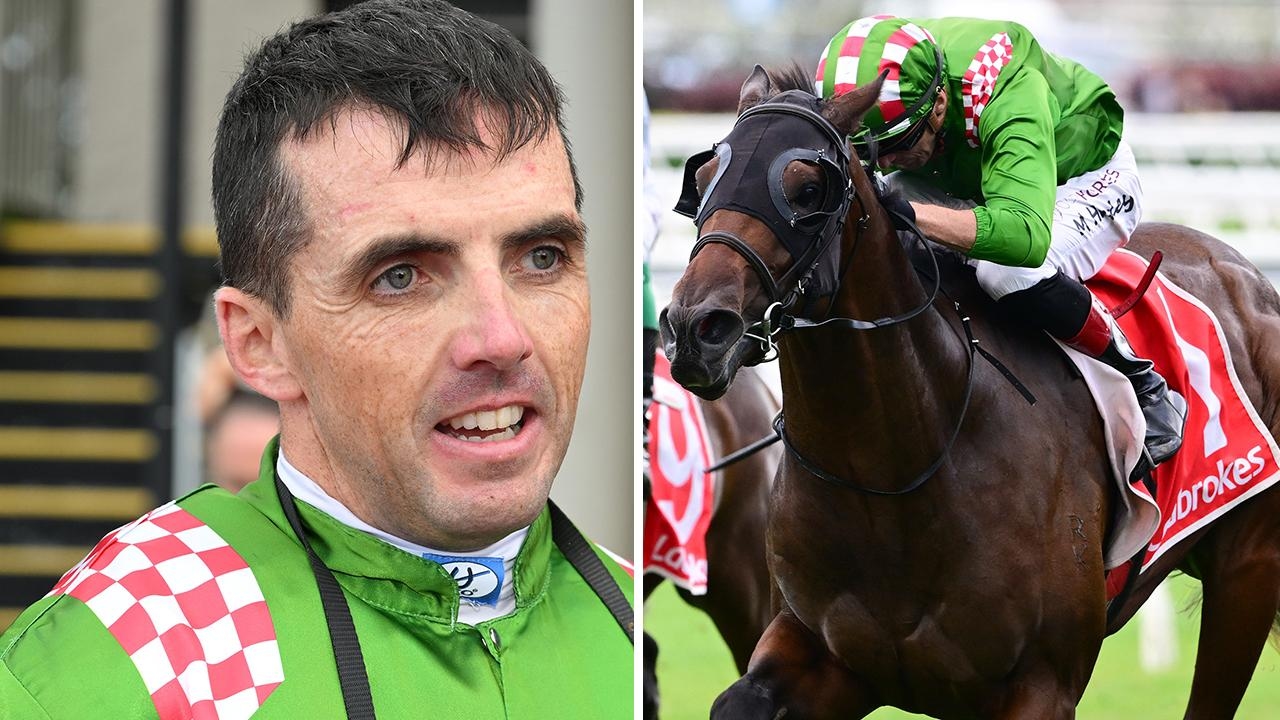 Rejuvenated Martin Harley hopes gun colt Cool Archie will define his career