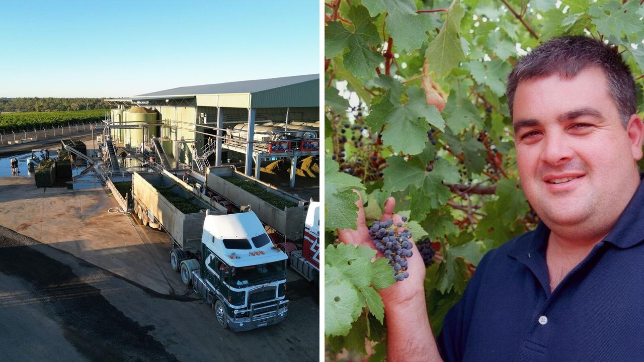 Winemaker thief claims penalty ‘excessive'