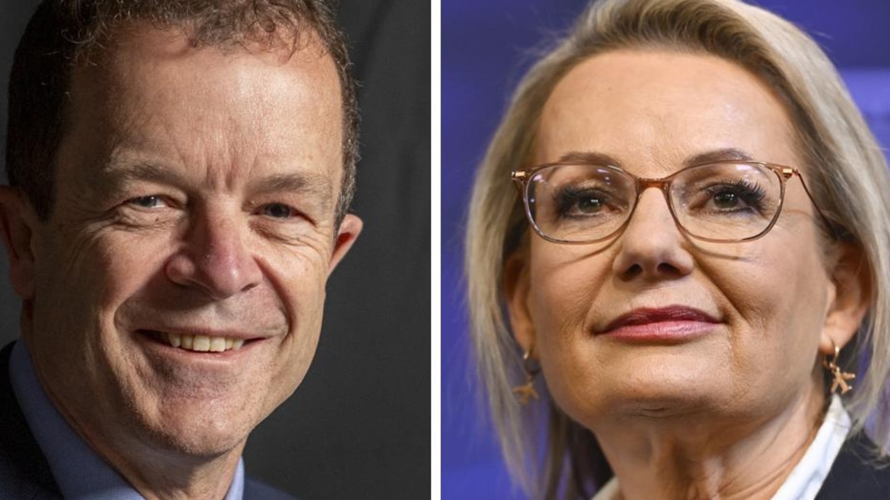NSW Liberal leader says women and young people have a ‘seat at the table' after election loss