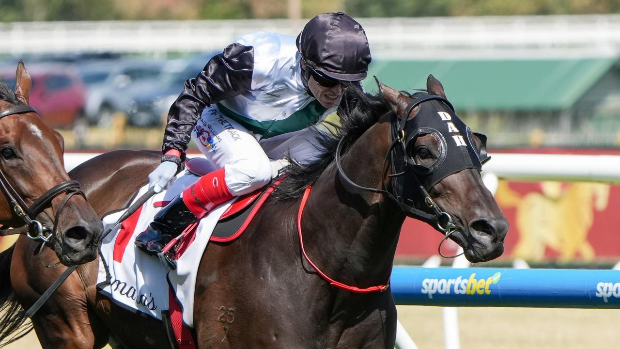Trainer David Hayes makes big Mr Brightside call for spring