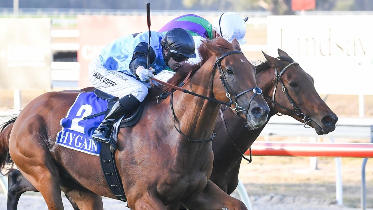 Victorian trainer Tony McEvoy has Caulfield Cup plans for Caloundra Cup favourite Half Yours