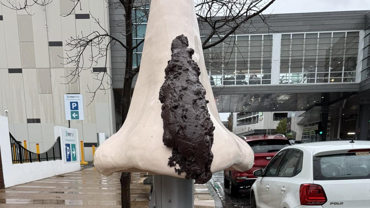 ‘Brown-noser': Crass statue appears outside Richard Marles electoral office in Geelong