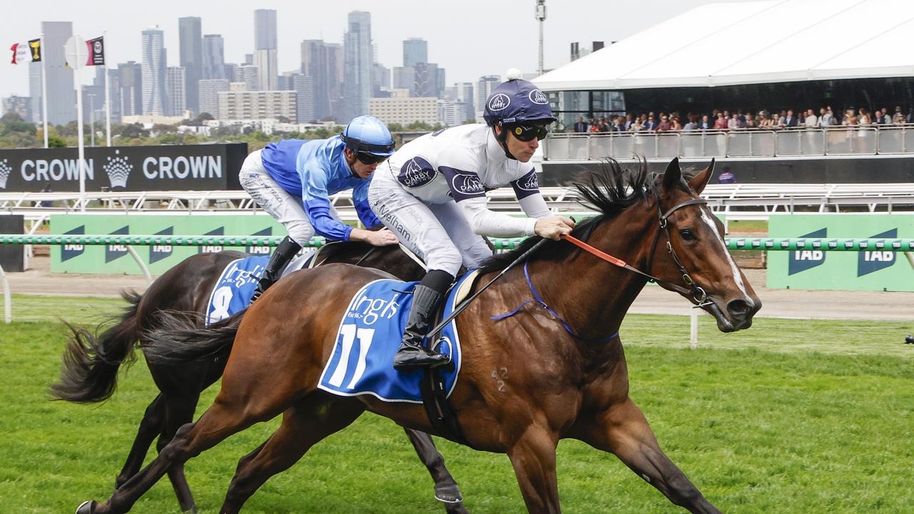 Bjorn Baker predicting big things for exciting filly Within The Law this spring
