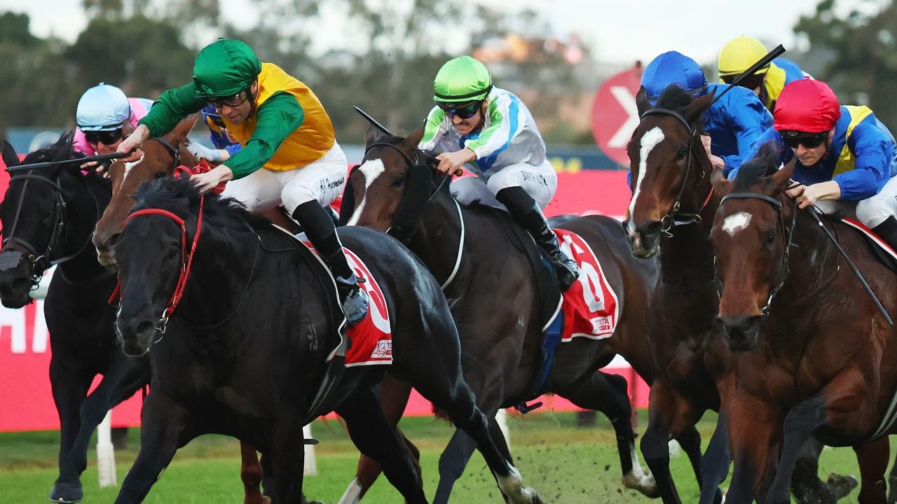 Ray Thomas and Shayne O'Cass analyse every race at Rosehill on Saturday