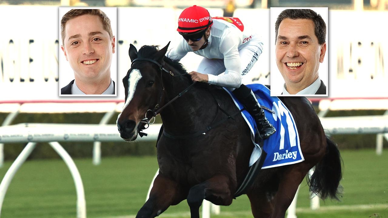 Randwick Turf Talk: Mitch Cohen has a Knockout tip for punters on Saturday