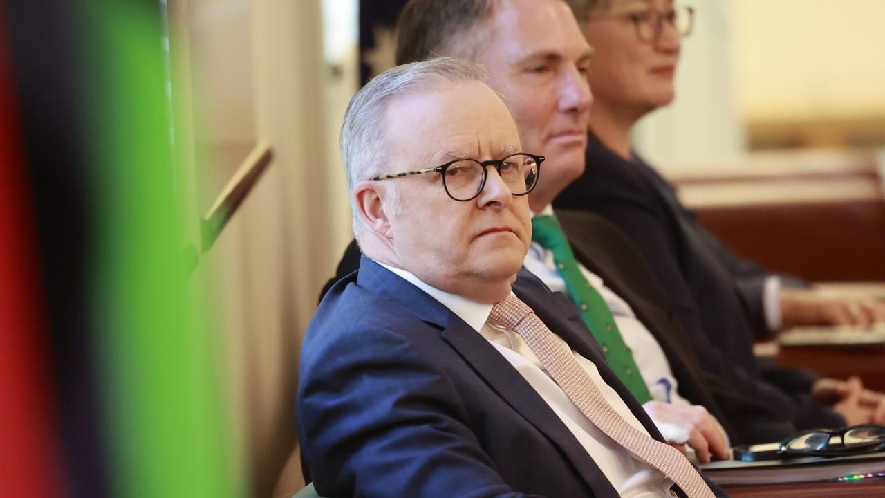 ‘Fiscal responsibility': Albanese's HECS promise labelled a ‘vote-buying exercise'