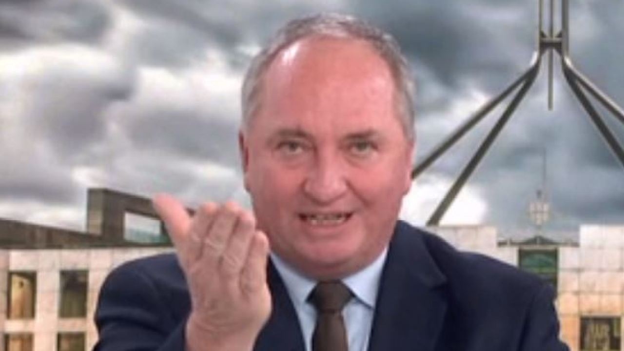 ‘This is insane': Former Nationals leader Barnaby Joyce unloads on renewable energy policies in fiery Sky News interview