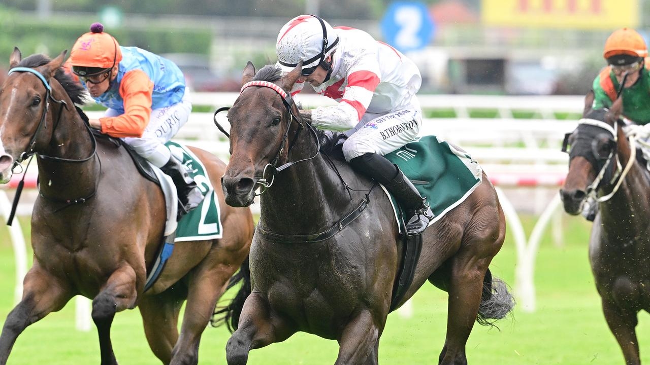 Trainer Rex Lipp aiming to fulfil Cifrado owner's spring carnival dream