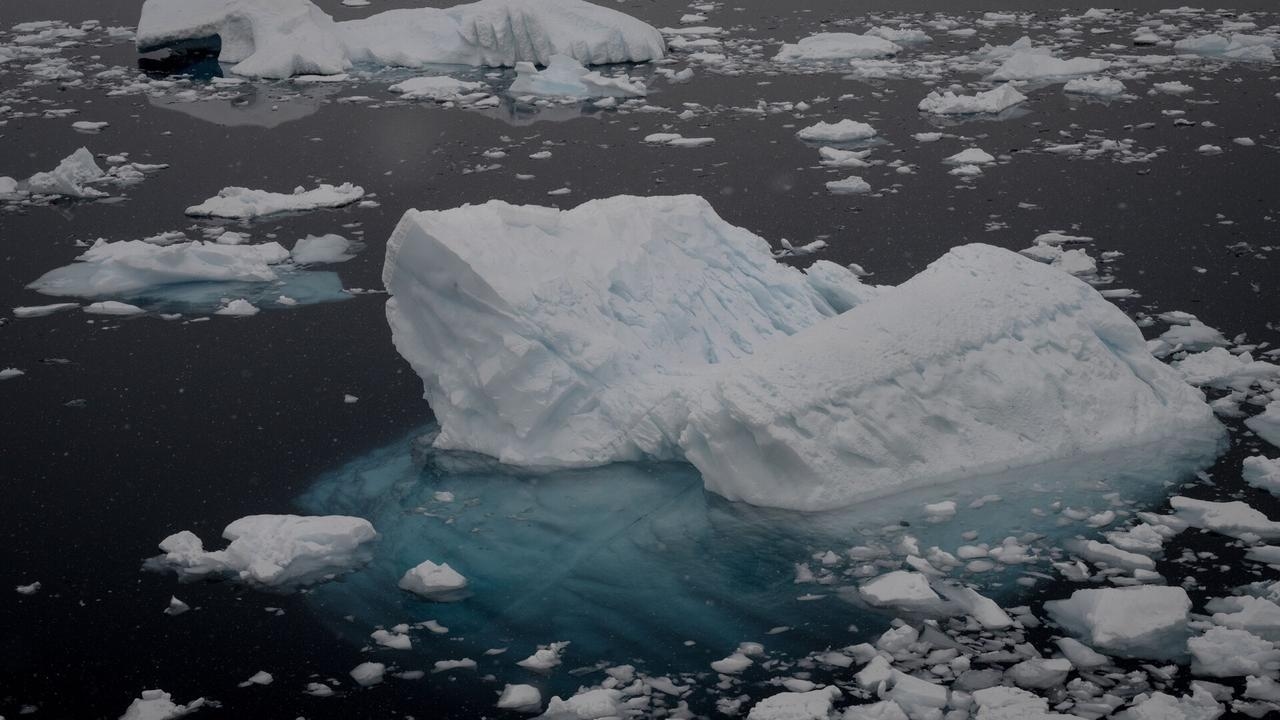 ‘Shock horror': Antarctic shelf experiences record growth