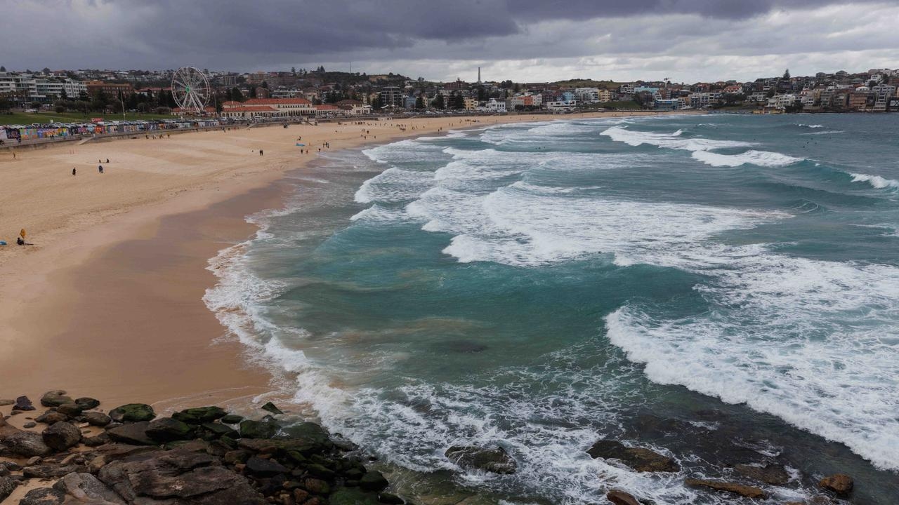 Shark nets could be removed at Bondi Beach as NSW government considers trial