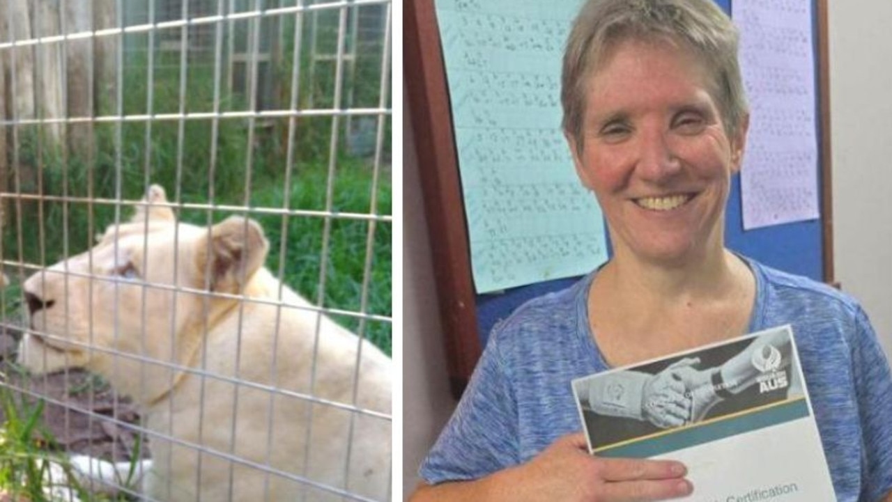 Woman attacked by lion at Darling Downs Zoo undergoes second round of surgery