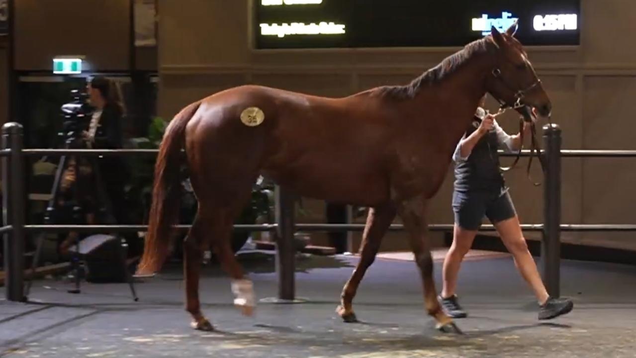 The Everest winner Bella Nipotina fetches sale record