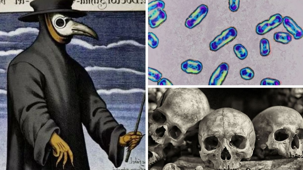 The black plague is still killing people in 2025
