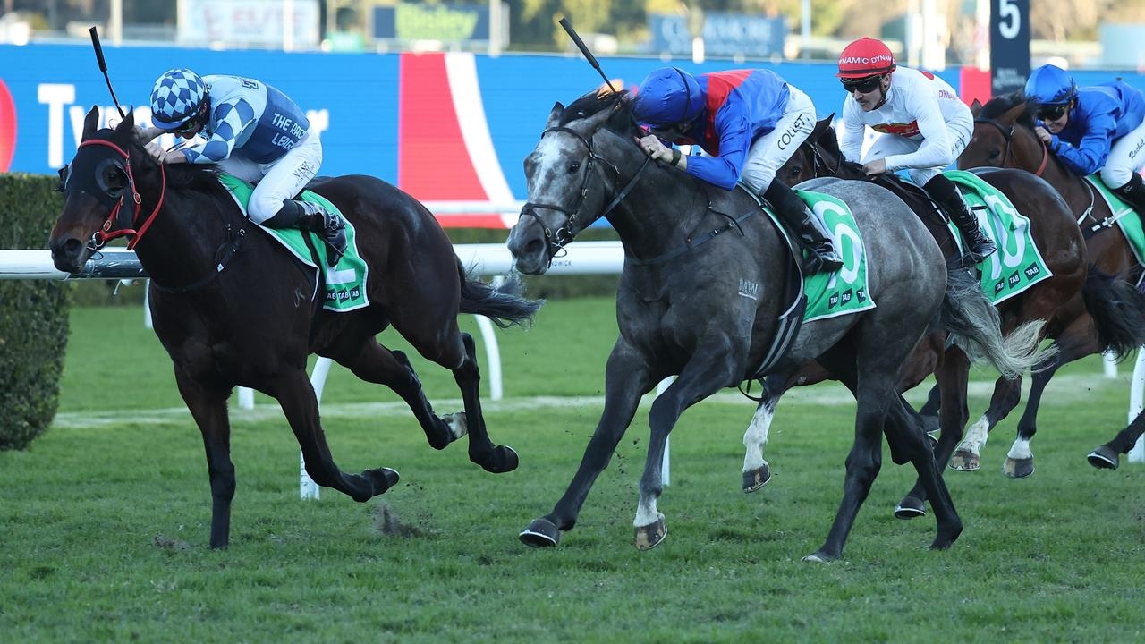 Trainers John O'Shea and Tom Charlton always knew Getafix had talent and the gelding is now showing it with consecutive wins