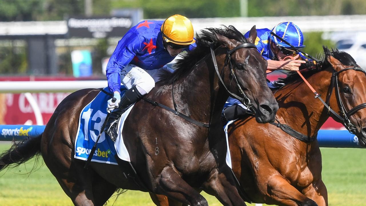 Group 1-winning sprinter Queman in ‘good order' for return at Morphettville but trainer Shane Oxlade keen to avoid heavy tracks
