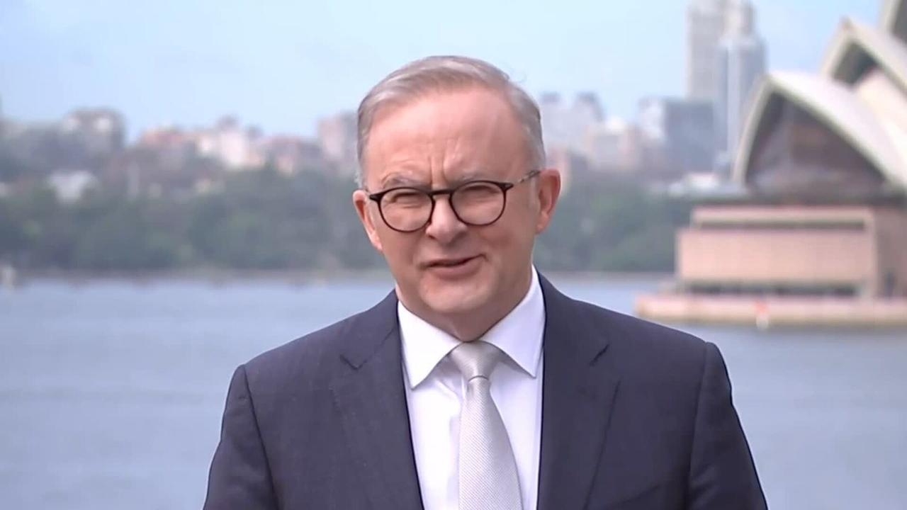 Australians should not be ‘happy' with Albanese's attempts at relationships with the US
