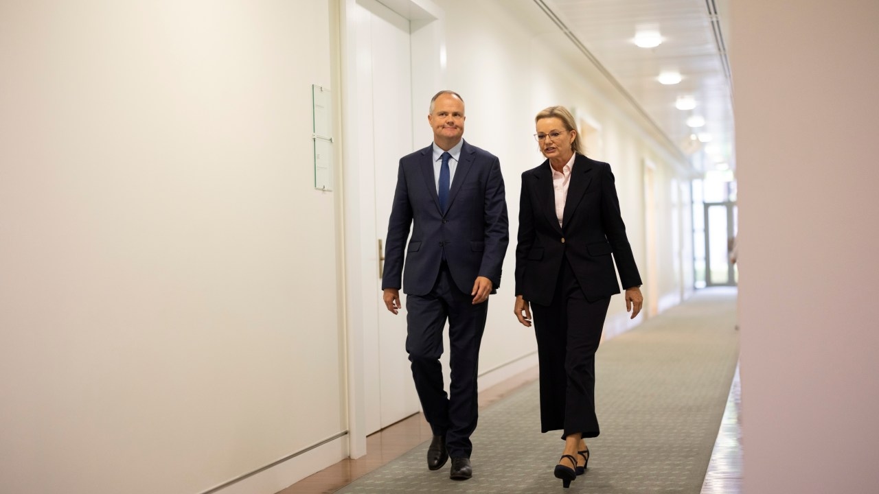 ‘Sideshow': Mundine's Liberal Party dig