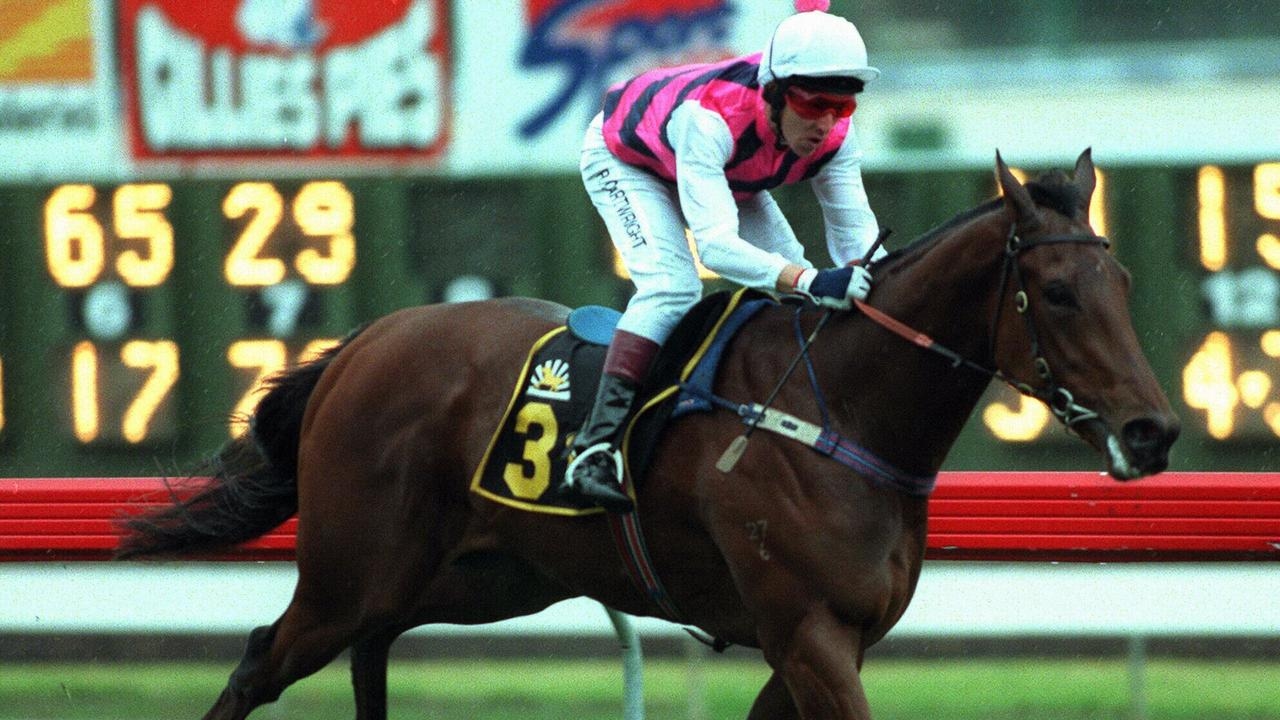 Griffiths Racing mourns Moonee Valley legend Dandy Kid