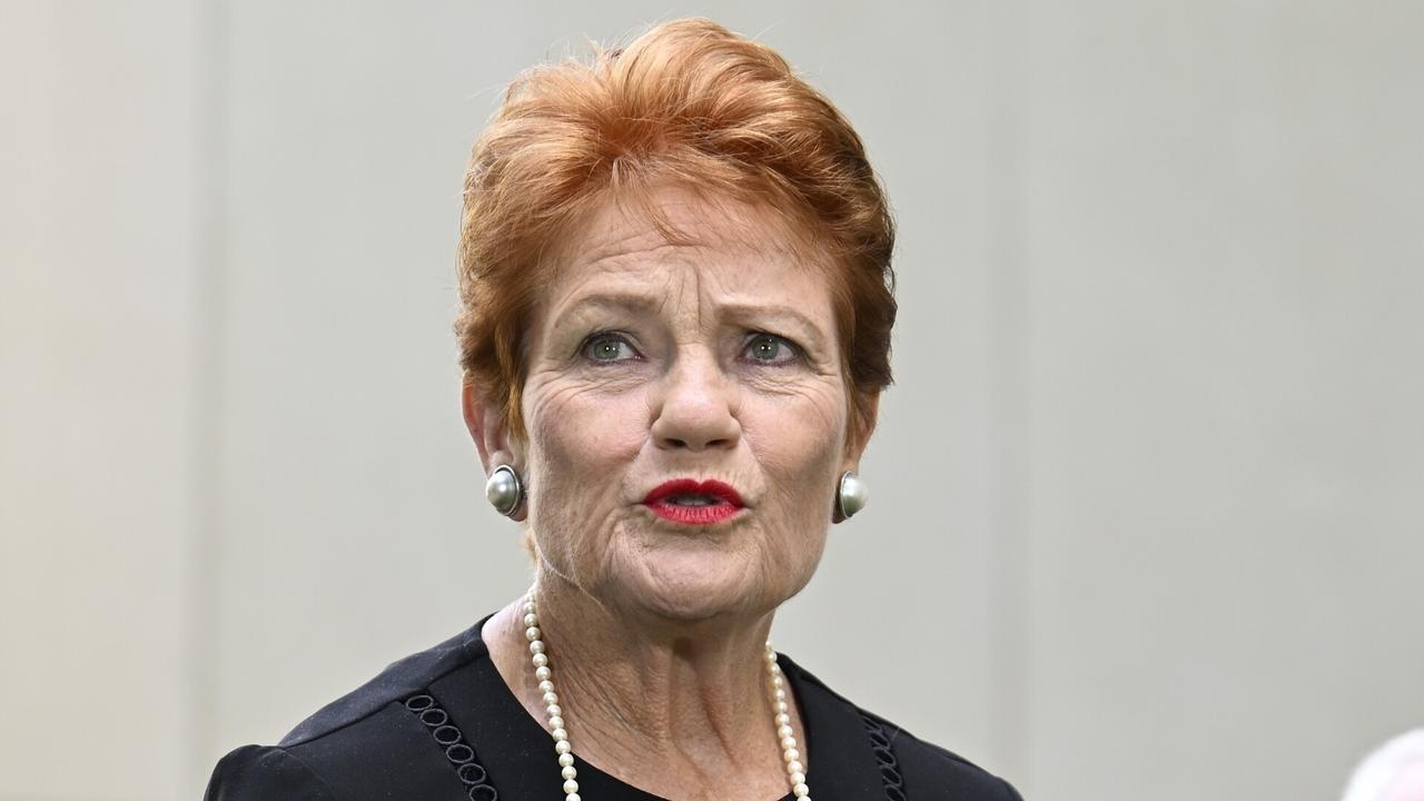 ‘Talking sense': Hanson forces Coalition to show ‘true colours' on net zero