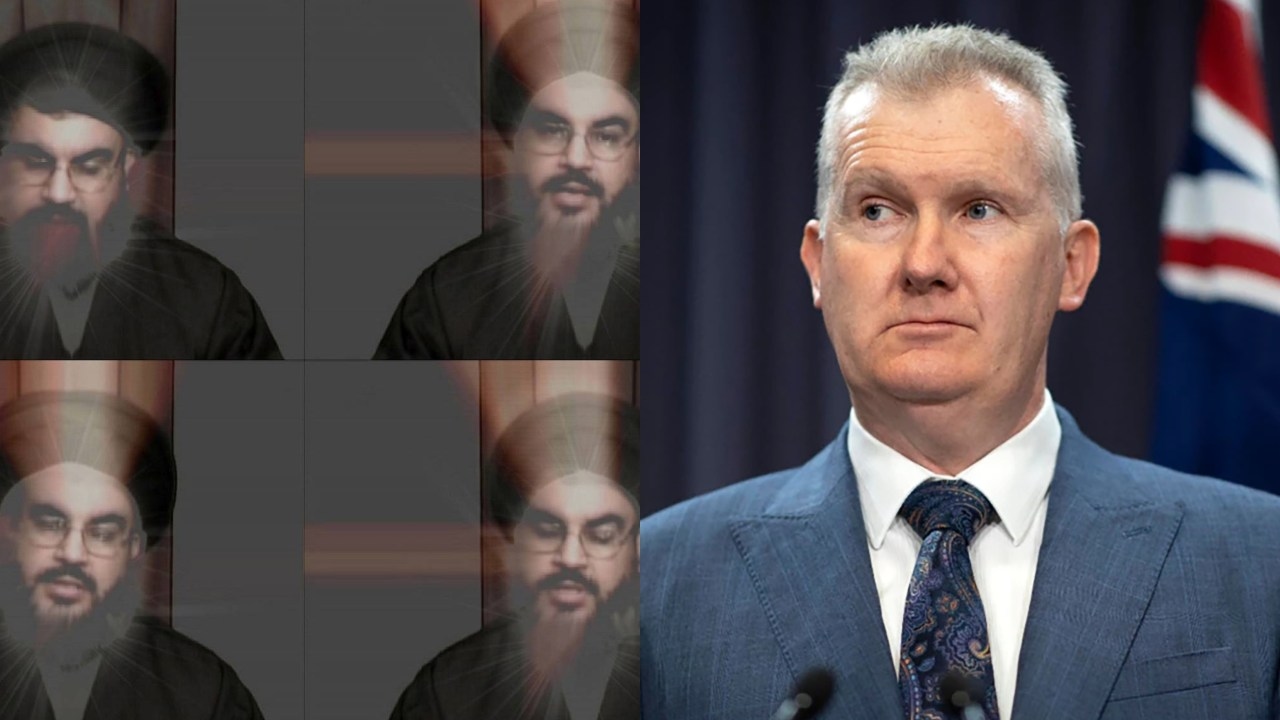 Jewish leader Alex Ryvchin torches Australia's creative industry and its minister Tony Burke after backflip on controversial artist