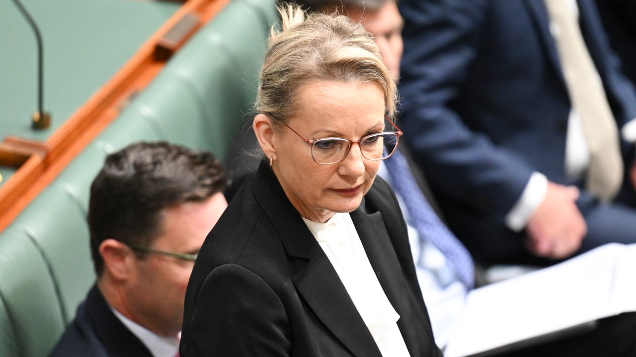 Costed energy policy, real cost of living relief: What Sussan Ley must offer voters to haul the Coalition back from pitiful 40-year polling low