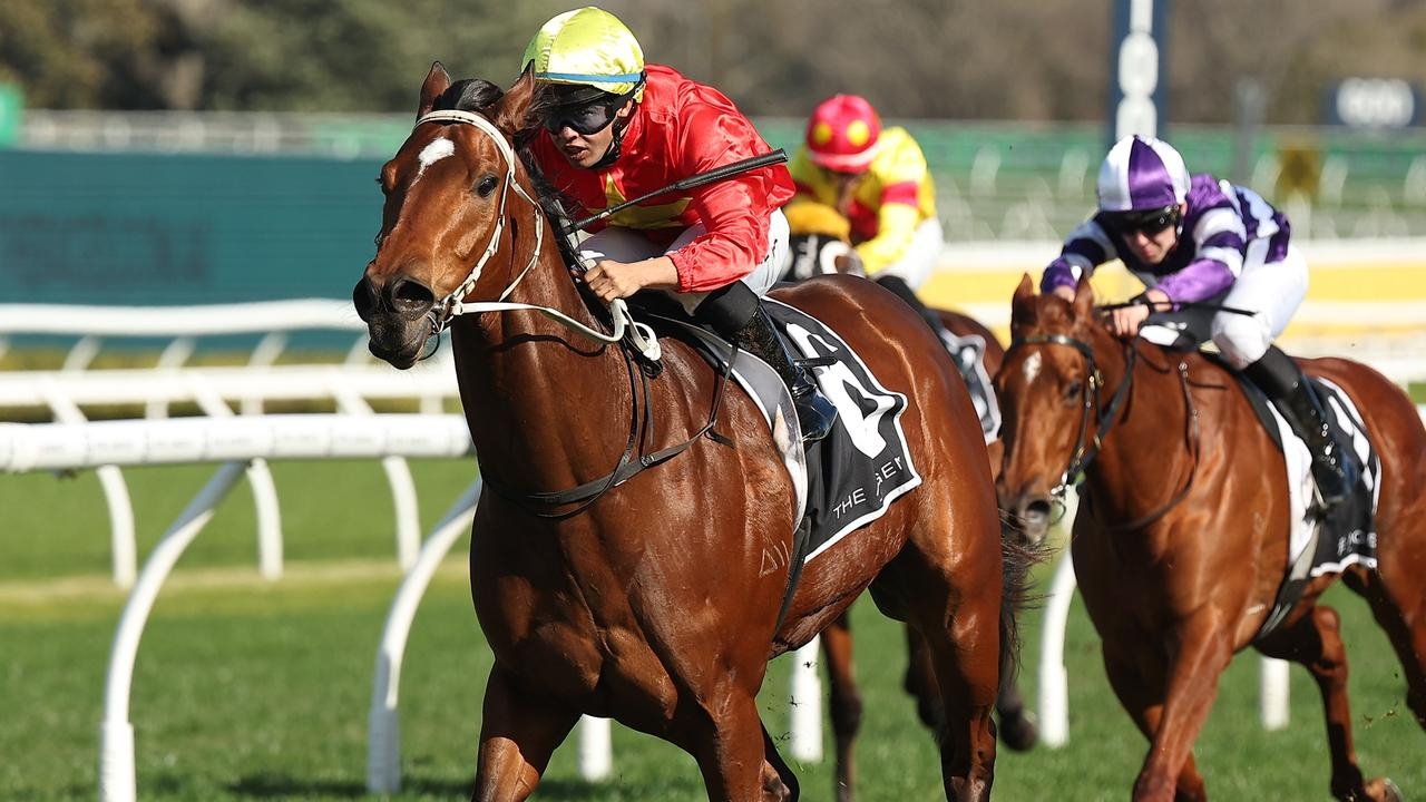 Mitch Cohen's Blackbook: Five to follow from Royal Randwick