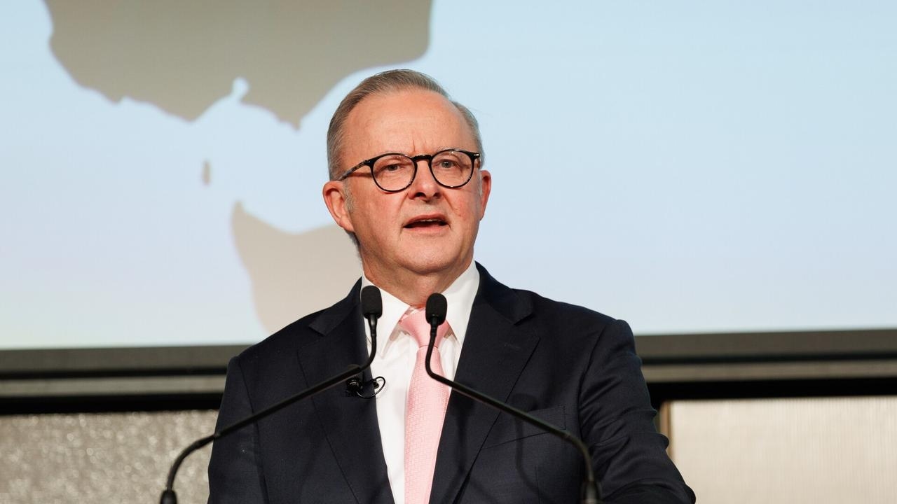 ‘Going to be a problem': CSL chairman's plea to Albanese to maximise efficiency of PBS