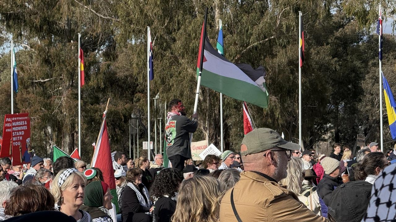 Pro-Palestine protester chant ‘death to the IDF' outside Parliament House
