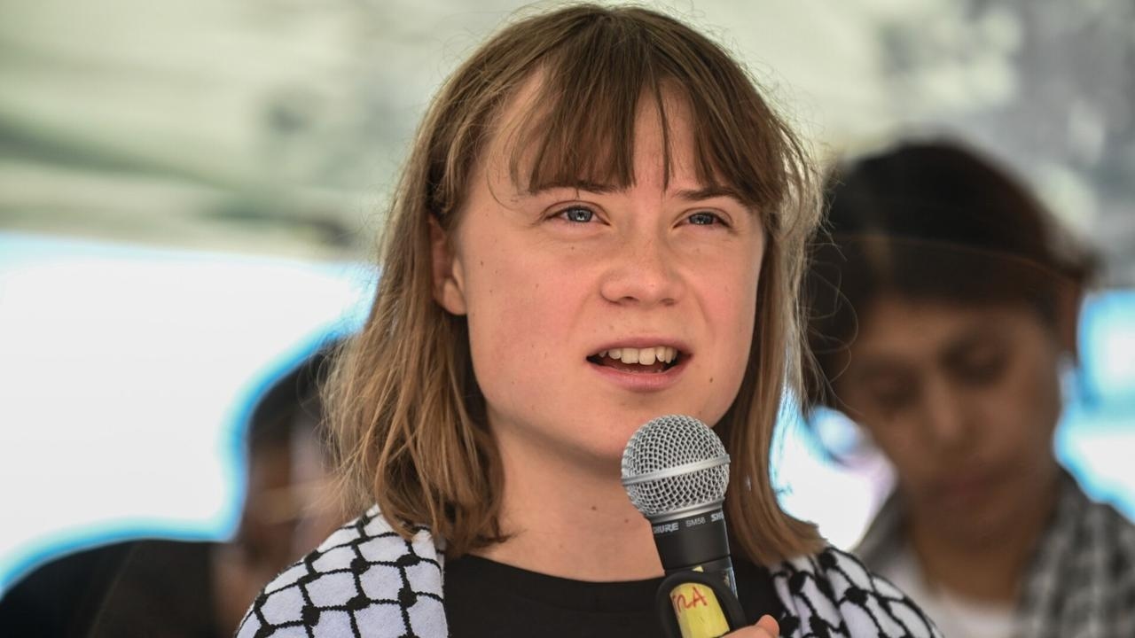‘Greta might like attention': New flotilla to set sail for Gaza