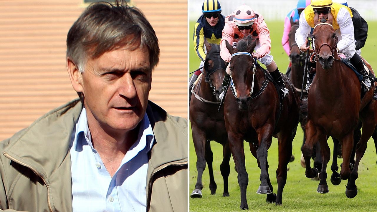 Black Caviar's family still providing champagne moments for lucky part-owner Neil Werrett