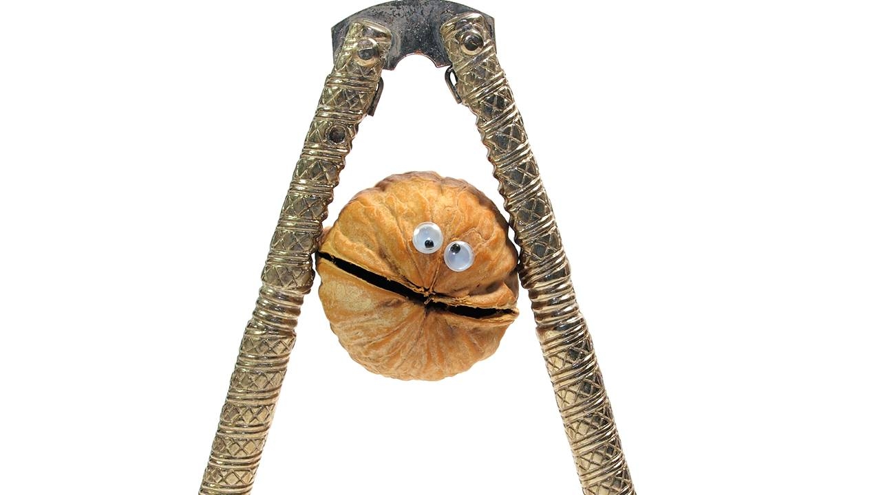 Health Check: A pancreatic cancer ‘cure' has been elusive, but Amplia may have cracked the nut