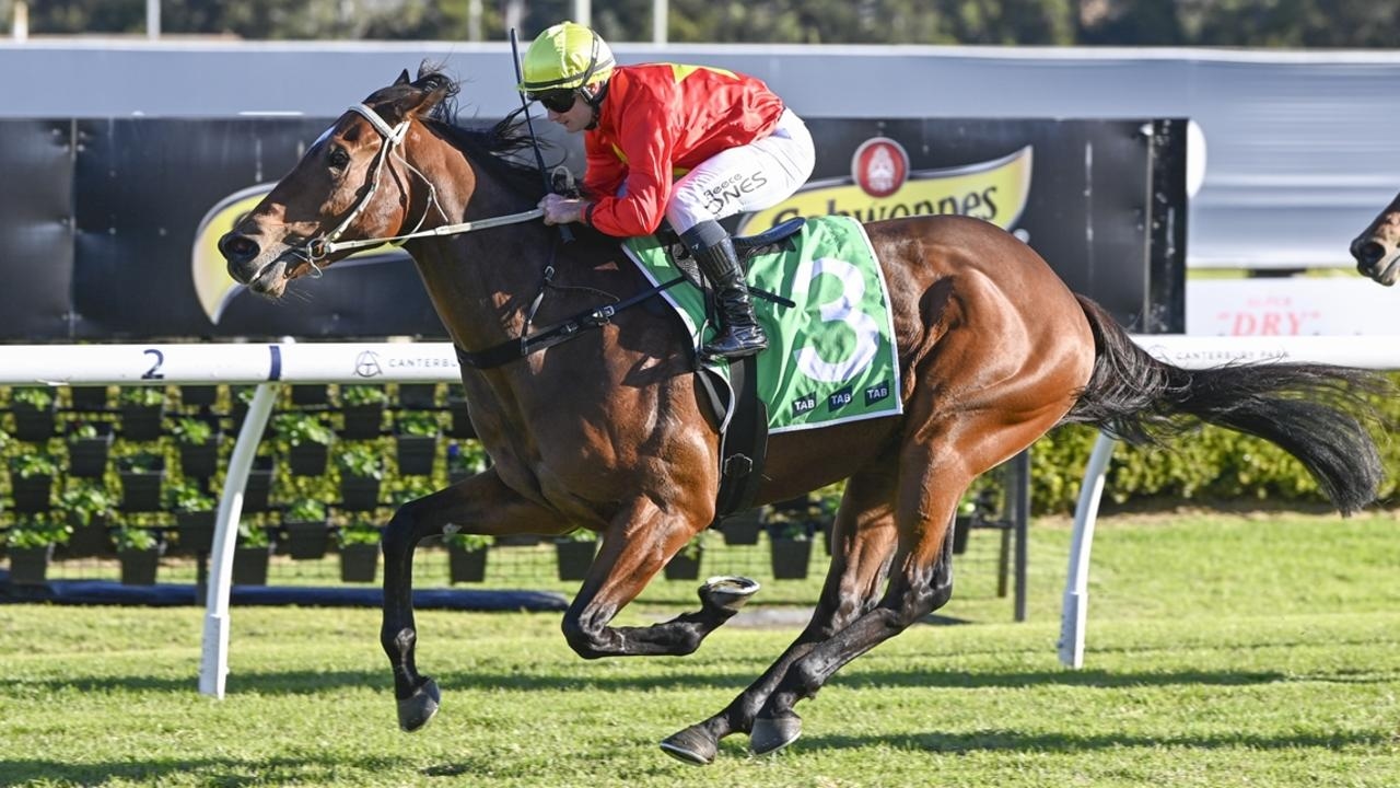 ‘Best horse we've had for a while': Trainers Jim and Greg Lee chasing Randwick victory with Glorious Moments on Saturday