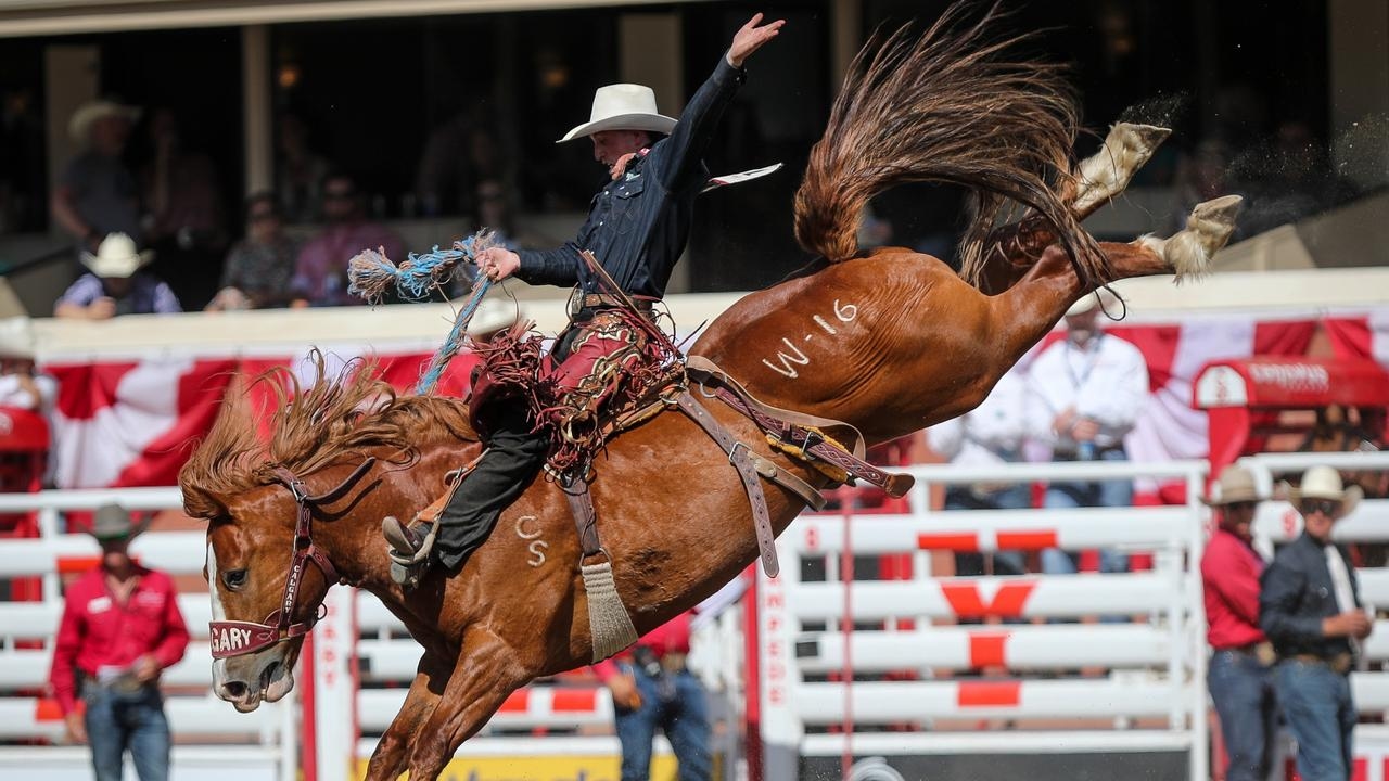 Calgary Stampede 2025: Your ultimate guide to the city's biggest festival