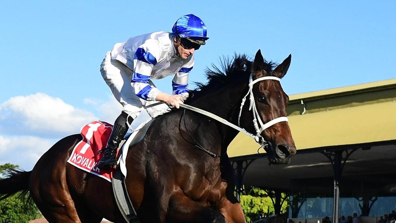 Kovalica backed to end drought in Group 1 Doomben Cup