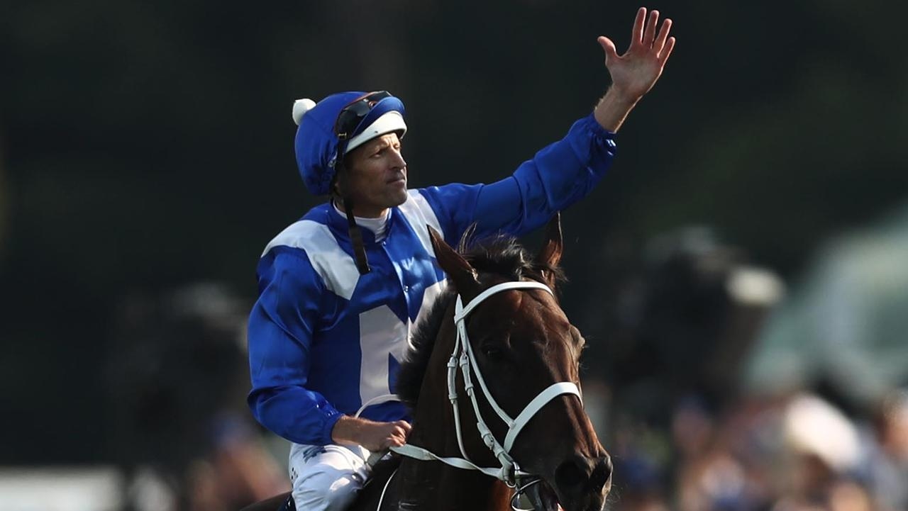 Winx's 2025 stallion revealed by owner Peter Tighe