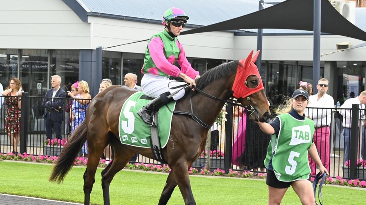 Hawkesbury preview: Rain brings optimism for Stephen O'Halloran