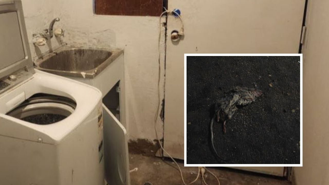 Foul sight insight house for sale as housing crisis deepens in WA