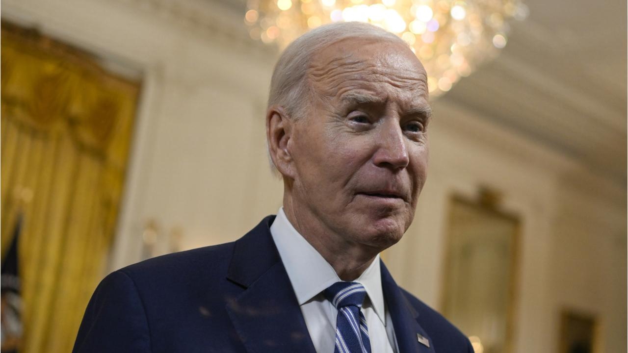 Former DNC insider reveals ‘puppet masters' running Joe Biden's White House