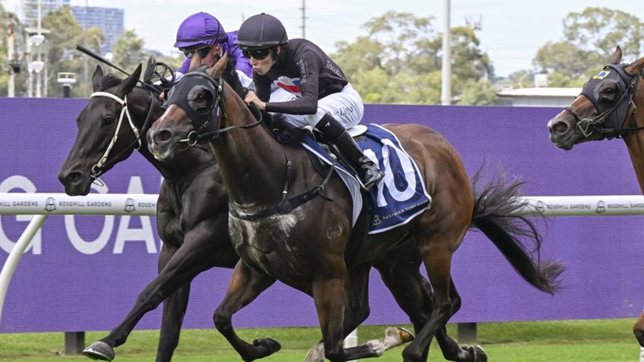 Newcastle preview: Home track has Nathan Doyle's gelding set to Attack