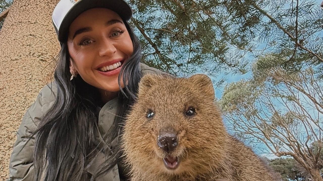 Katy Perry snapped with cute Aussie quokka on Rottnest Island