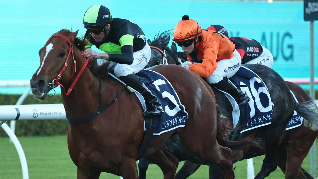 Trainer Joe Pride desperate for improving Rosehill track for Winter Stakes top seed Accredited