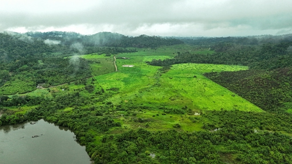 Proof of life: tracking elusive Amazon group to save their land