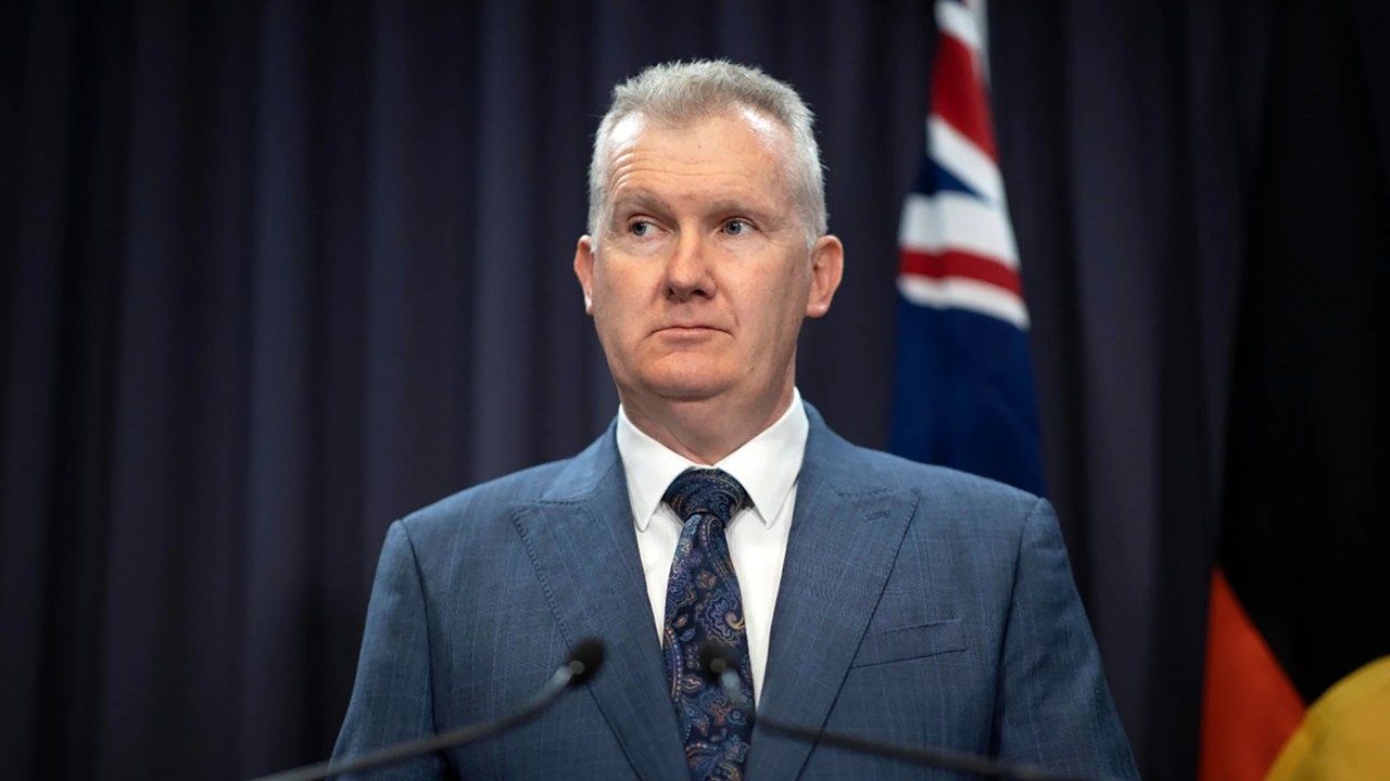 Home Affairs Minister Tony Burke says legal bar too high for preventative detention of NZYQ offenders