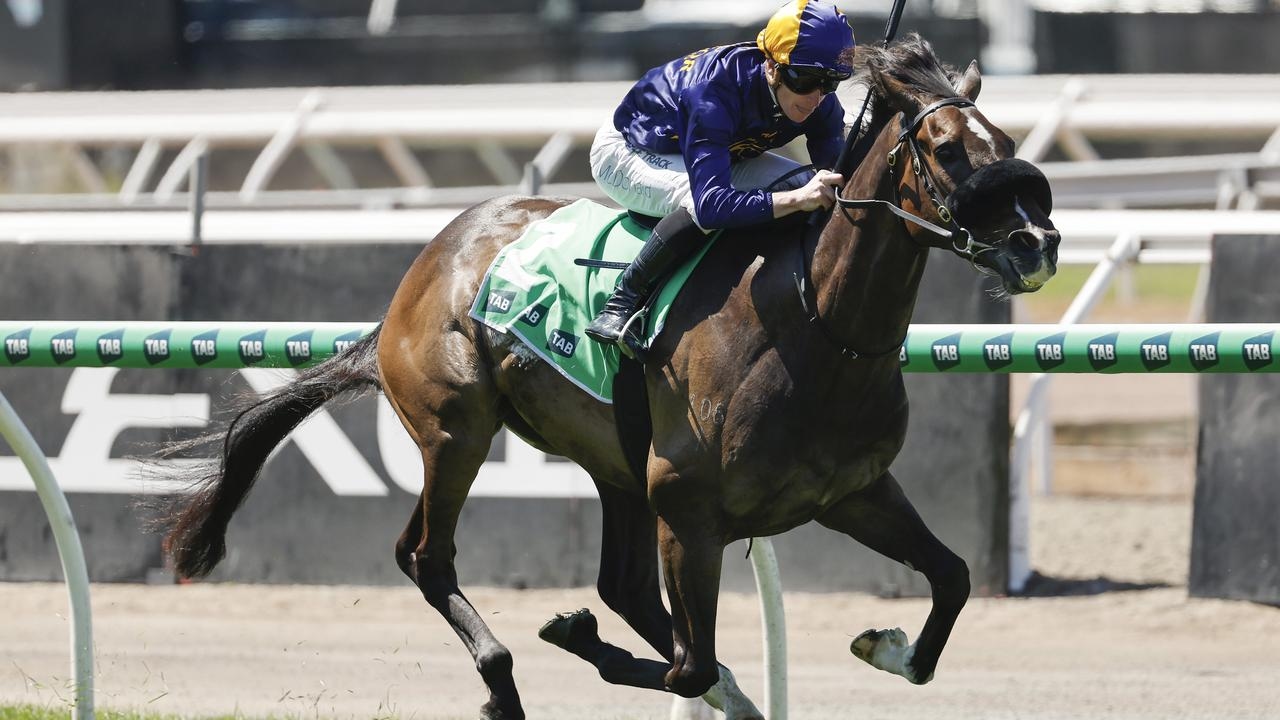 Smart three-year-old Opening Address to have a delayed start to Spring Carnival