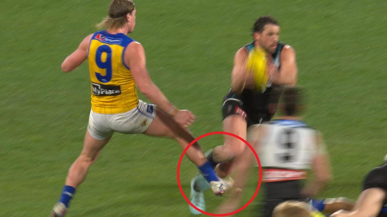 AFL 2025: Garry Lyon says Harley Reid trip worthy of a suspension, how much was he fined, MRO, West Coast Eagles loss to Port Adelaide